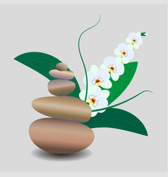 Zen Stone Balance Delicate White Orchid Flower