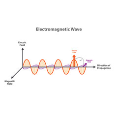 Electromagnetic Wave