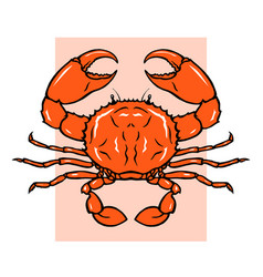 A Sea Crab With Claws