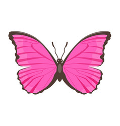 A Catchy Flat Of Pink Butterfly