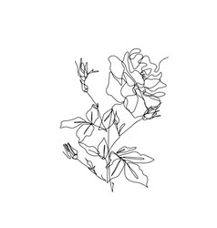 One Single Line Rose Flower Drawing Black Ink