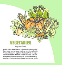 Fresh Vegetable Assortment With Text Information