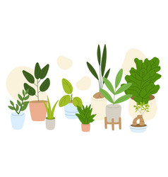 Potted House Indoor Plants Set Different Foliage