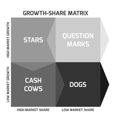 Bcg Matrix