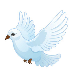 Dove Flying On White Background