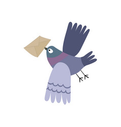 Gray Pigeon Postman Flies With A Mail The Bird