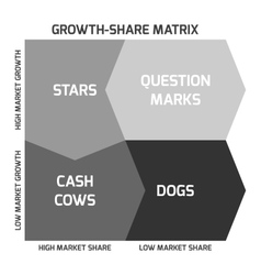 Bcg Matrix