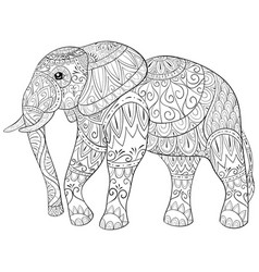 Coloring book man travelling on elephant Vector Image