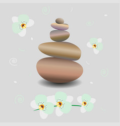 Zen Stone Balance Delicate White Orchid Flowers