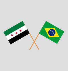 Syrian National Coalition And Brazilian Flags