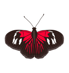 Check Flat Of Scarlet Mormon