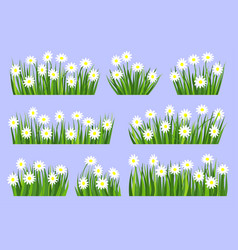 Green Grass White Flower Lawn Banner Set Herb Turf