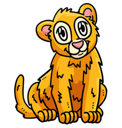 Baby Lion Cartoon Colored Clipart