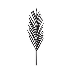 Black Branches Pine Needles Design Element