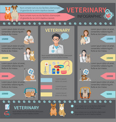 Veterinary Infographic Set