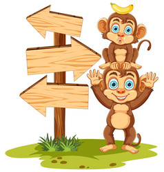 Monkey Standing Next To Wooden Arrow Direction