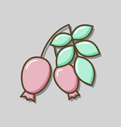 Rose Hip Berries And Leaves Icon