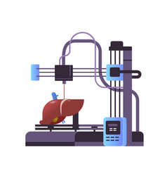 Liver Model Prints On 3d Bio Printer Medical