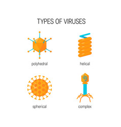 Types Of Viruses Concept