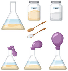 Yeast Respiration Science Experiment