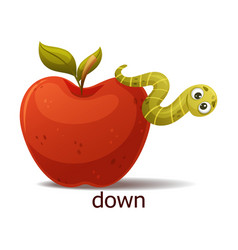 Cute Green Worm Creeping Down Red Apple As English