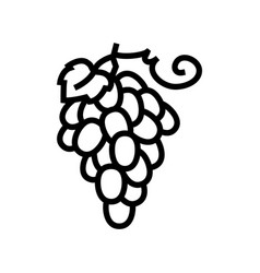 Red Grapes Bunch Line Icon