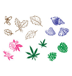 Linocut Stamps Oak Leaves Shells Roses