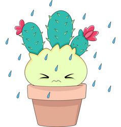 Cactus Growing In A Pot Looking Scared Because