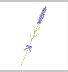 Lavender Branch For Decoration