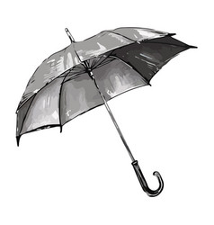 Umbrella On White Background