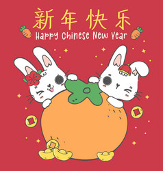 Cute Happy Two Of Chinese New Year Rabbit Bunnies