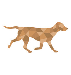 Dog Walking Polygonal