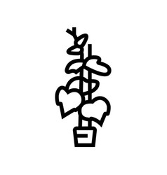 Plant Cucumber Line Icon