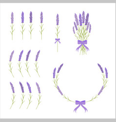 Set Lavender Branches Lavender Bouquet Lavender