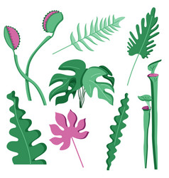 Set Of Jungle Leafs Stickers In Mesozoic Era