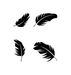 Feather