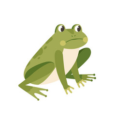 Sad Frog Sitting With Unhappy Face Funny