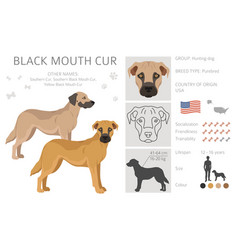 Black Mouth Cur Clipart Different Coat Colors