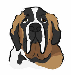 Saint Bernard Dog Face Cartoon