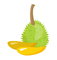 Natural Leaf Icon Cartoon Durian Fruit