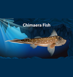 Chimaera Fish Design