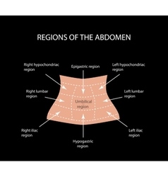 Abdominal Region On A Black