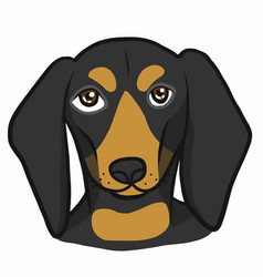 Dachshund Dog Face Cartoon