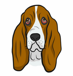 Basset Hound Dog Face Cartoon