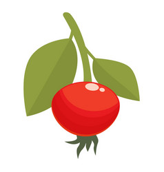 Natural Rosehip Icon Cartoon Berry Food