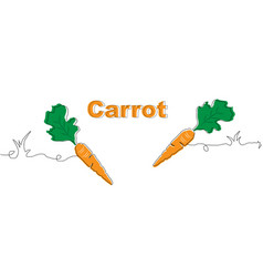 Carrot