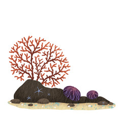 Coral On Stone Reef With Starfish And Seashell