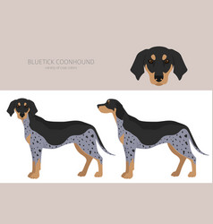 Bluetick store coonhound colors