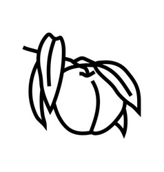 Branch Nectarine Fresh Line Icon