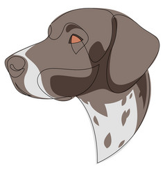 German Shorthaired Pointer Dog Portrait